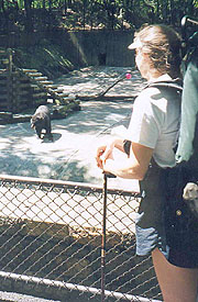 Bear Mountain Zoo