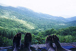 View from Overmountain shelter