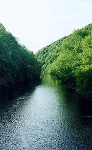 Swatara Creek