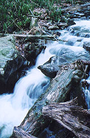 Comers Creek Falls