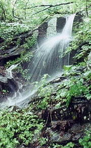 James River waterfall