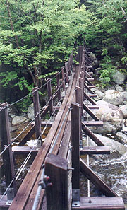 Suspension bridge over Peabody Creek