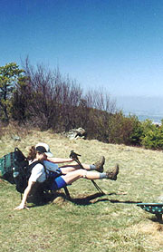 Waynesboro Overlook