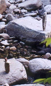 Cairns in Big Branch